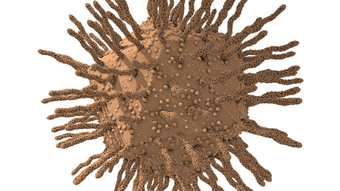virus géant enzyme cellule bactéries