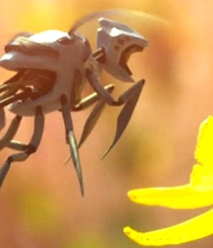 abeilles pollinisateurs pollen plantes robots robotisées walmart drones