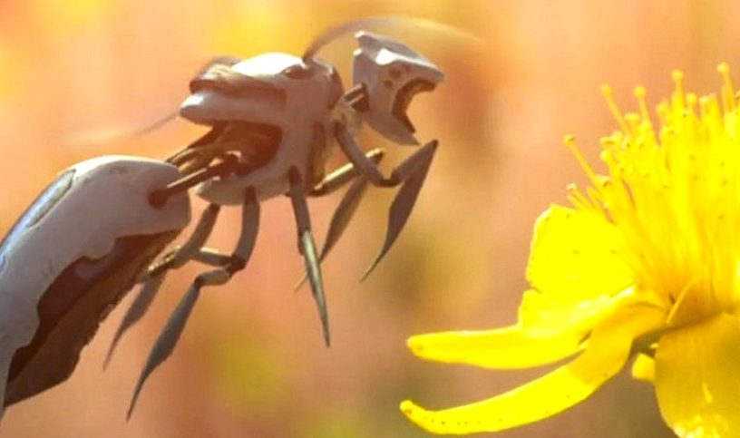 abeilles pollinisateurs pollen plantes robots robotisées walmart drones