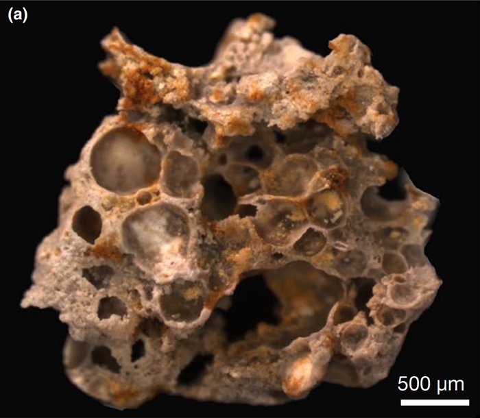 fossile bacterie vie terre primitive oxygene air
