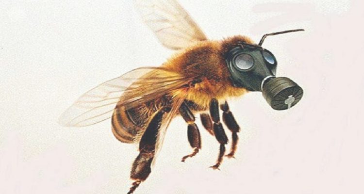 abeille-masque-750x400.jpeg