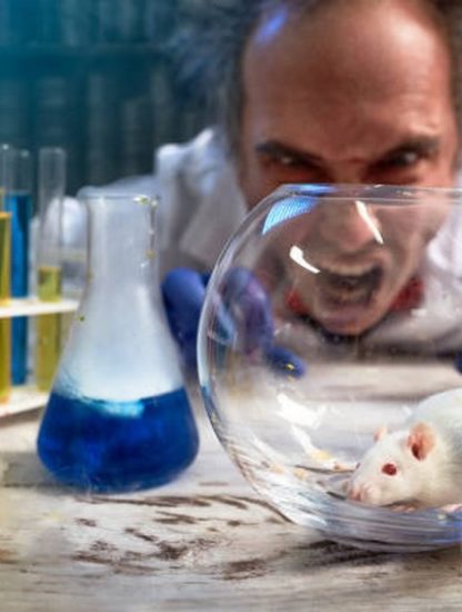 scientifique photo istock fou souris rat laboratoire cliche