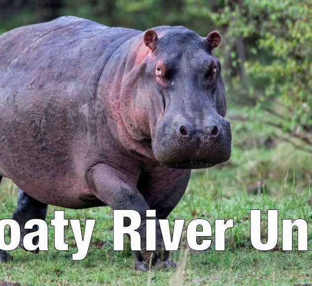 hippopotame animal suggestion nouveau nom hilarant zoo aquarium