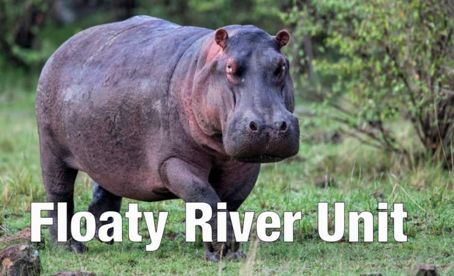 hippopotame animal suggestion nouveau nom hilarant zoo aquarium