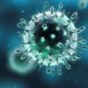 virus herpes