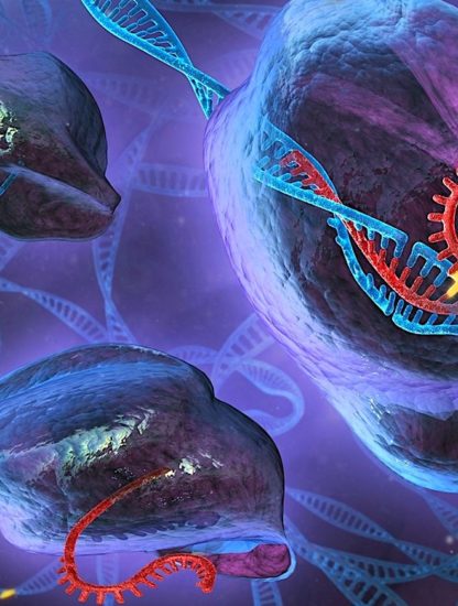 CRISPR adn edition genetique