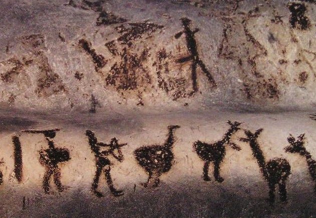 cave art homme neolithique chromosome y
