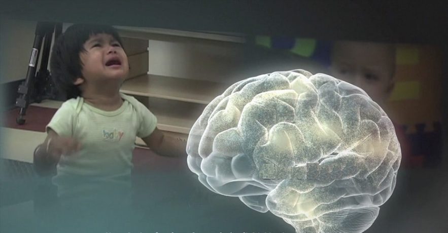 enfant cerveau