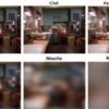 acuite visuelle animaux oeil résolution