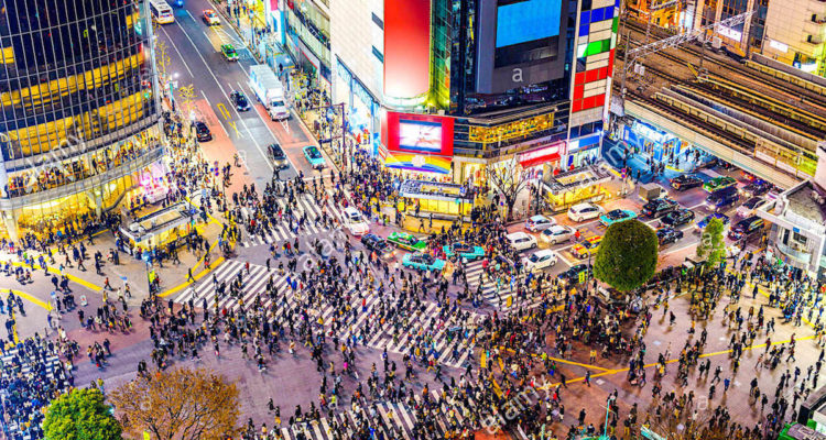shibuya tokyo japon crosswalk