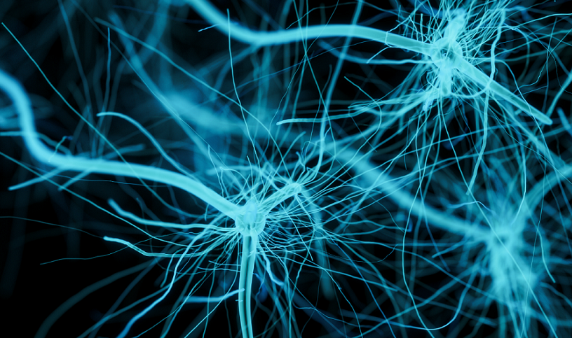 ARN ARNi technique gene genes medicament traitement ATTR