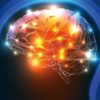 cerveau memoire apprentissage apprendre souvenir technique