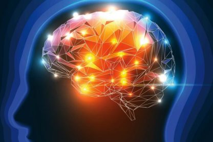 cerveau memoire apprentissage apprendre souvenir technique