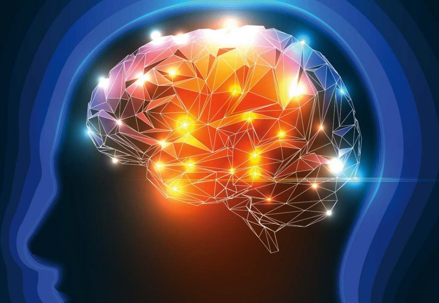 cerveau memoire apprentissage apprendre souvenir technique