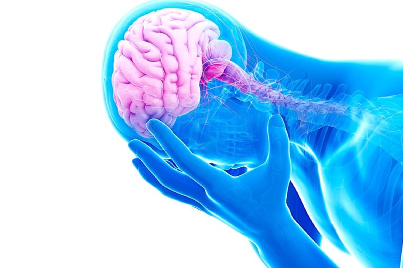 cerveau étude depression