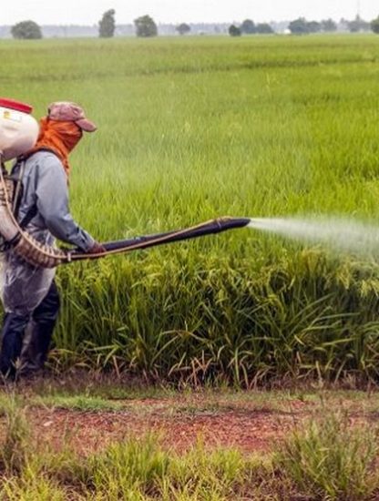 pesticide poison autisme tsa