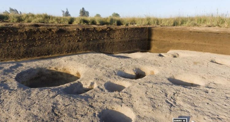 carbone datant pyramides égyptiennes