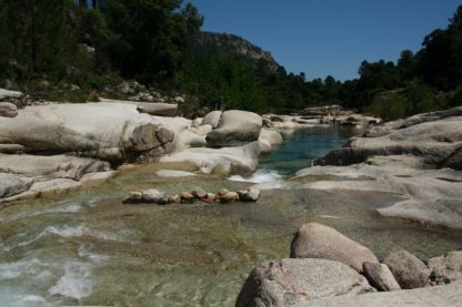 riviere de Cavu schistosome hybride bilharziose