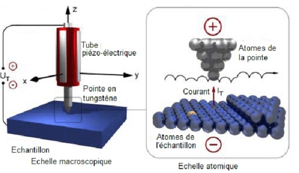 microscope effet tunnel electrons