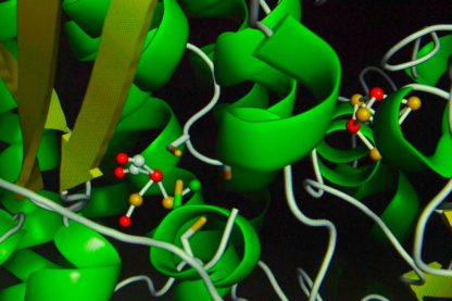 enzyme contrôle distance