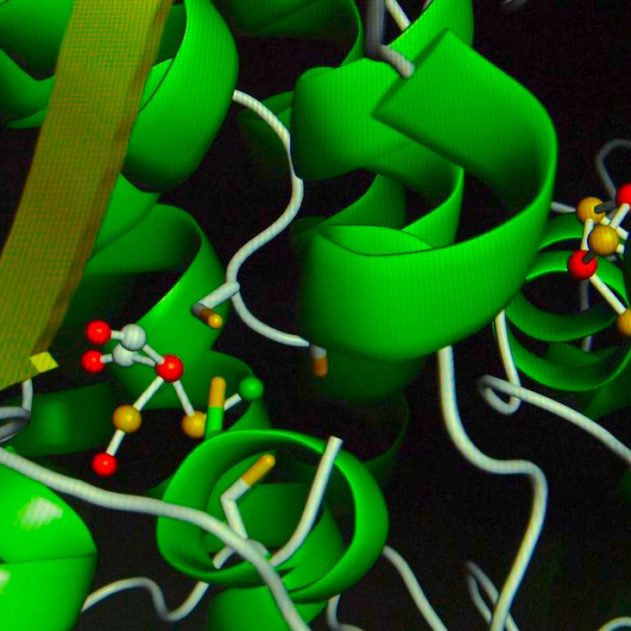 enzyme contrôle distance