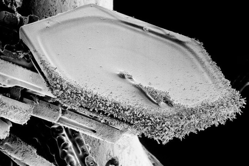 structure microscope flocon neige