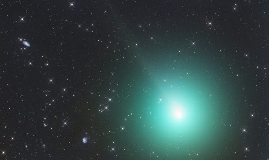 comete 46p observer ciel nocturne etoile