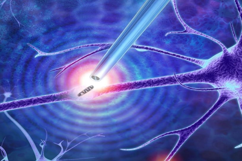 pinces nanometriques cellules