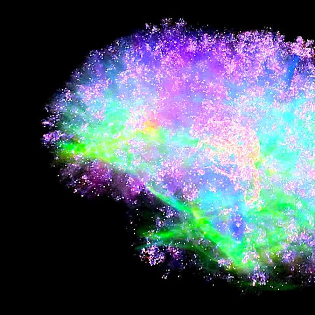 genn spikefun simulation cerebrale informatique cerveau