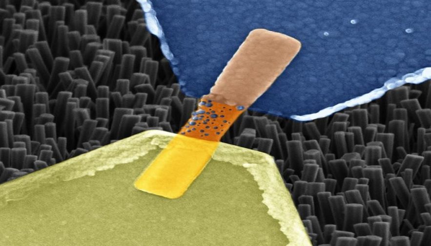 synapse artificielle nanocable