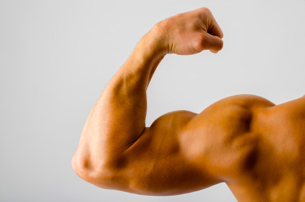 50 Ways steroide musculation evolution Can Make You Invincible