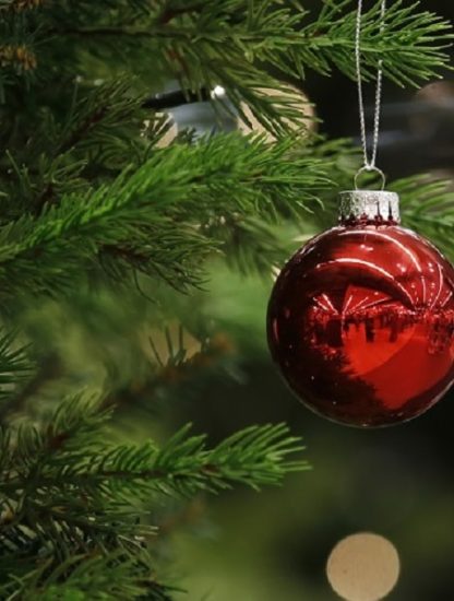 aiguilles sapins noel