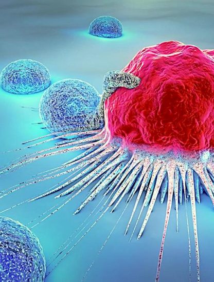 cellule cancereuse attaquee cancer