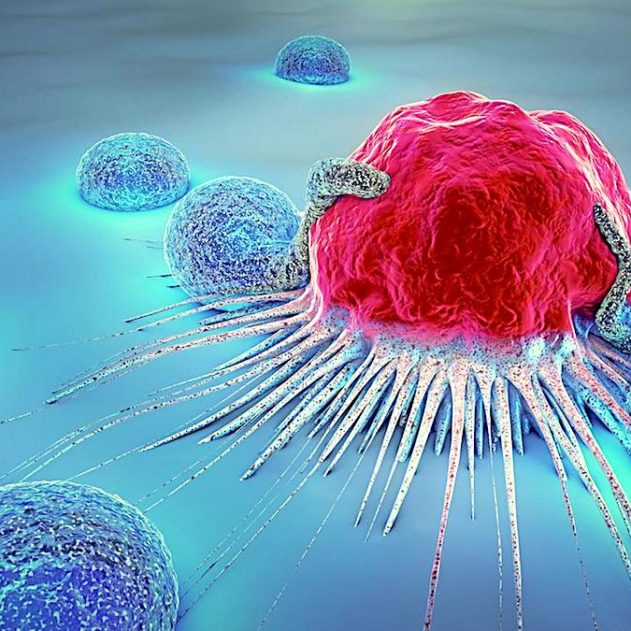 cellule cancereuse attaquee cancer