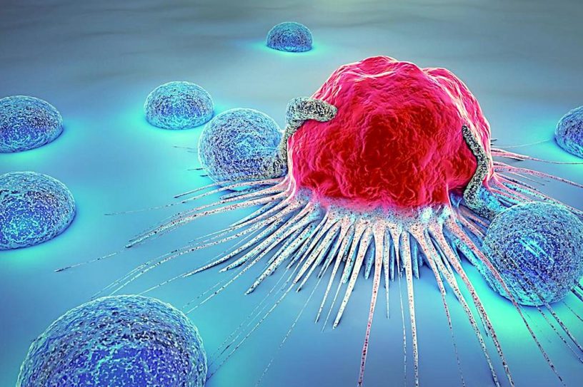 cellule cancereuse attaquee cancer