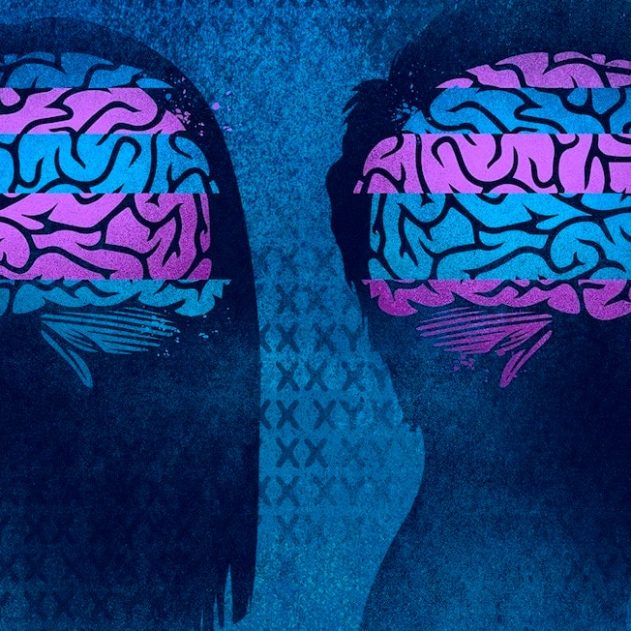 cerveau difference sexe