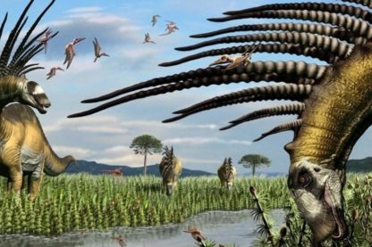 dinosaure patagonie bajadasaurus