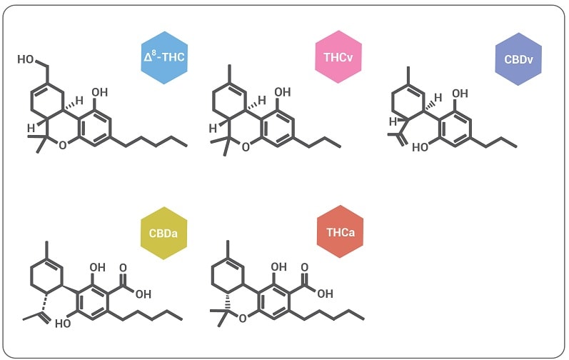 formules molecules cannabinoides