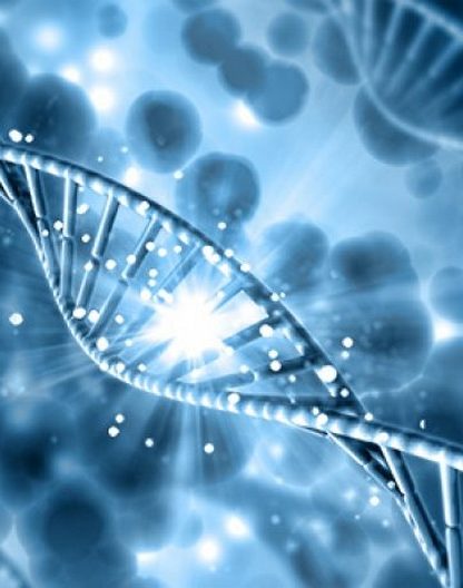 genetique fond patrimoine gene cellule levure etre humain maladie recherche