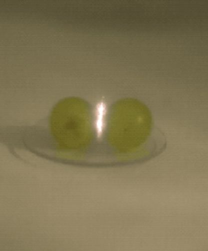 raisin plasma micro onde