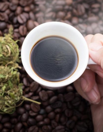 cafe endocannabinoides sante effet metabolite metabolisme