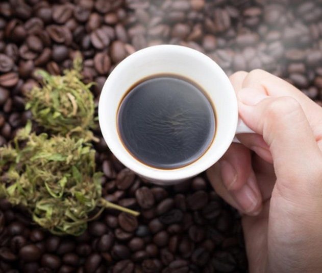 cafe endocannabinoides sante effet metabolite metabolisme
