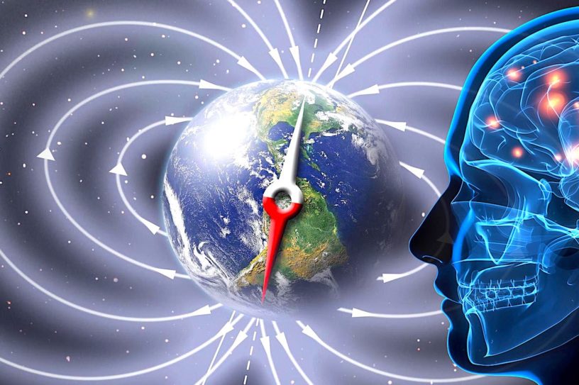 champ magnetique terrestre terre etre humain sens sensoriel