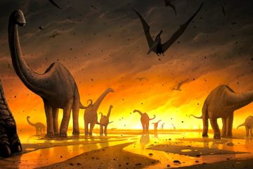 Carbone datant dinosaure tissu mou