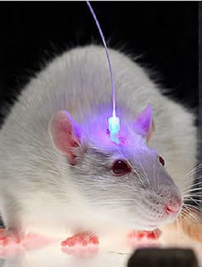 rats alcool laser