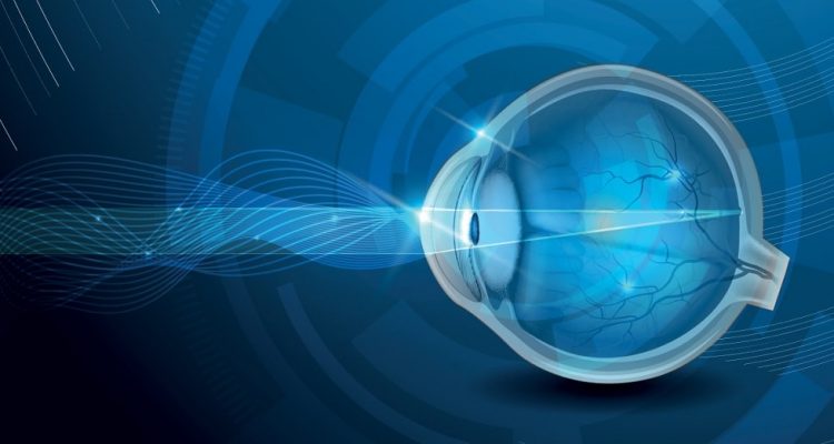 Une nouvelle technologie permettant de doter les yeux d'une vision nocturne