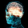 cerveau activite cerebrale son audible comprehension