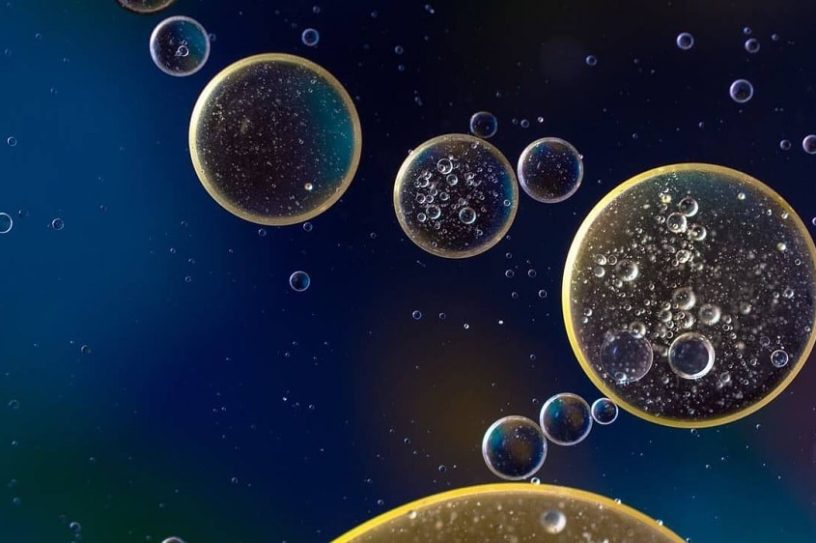 bacteries fosse mariannes