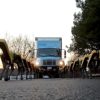 boston dynamics robots chiens tirant camion