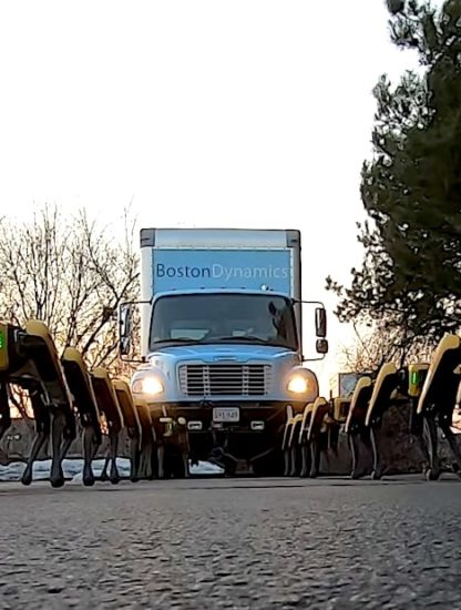 boston dynamics robots chiens tirant camion